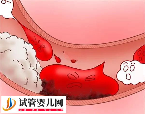 移植前后吃麻油有无影响