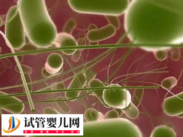 移植前后用芙宜净抑菌膏是否可以(图2)