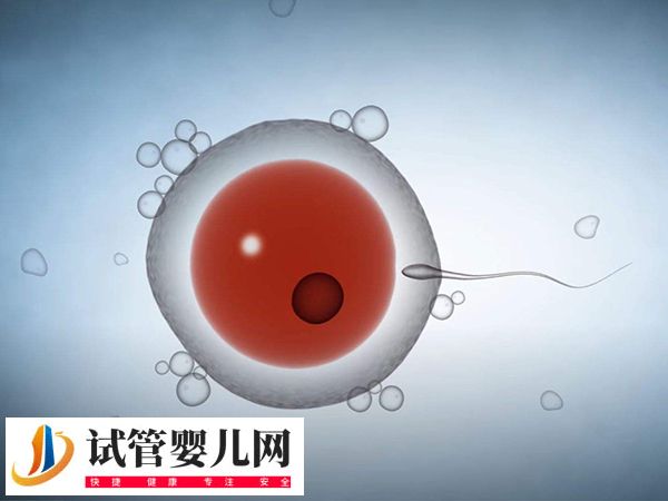 试管促排取卵有啥感觉