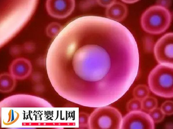 在俄罗斯做试管步骤是什么