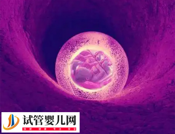 女性卵巢早衰对移植有无影响