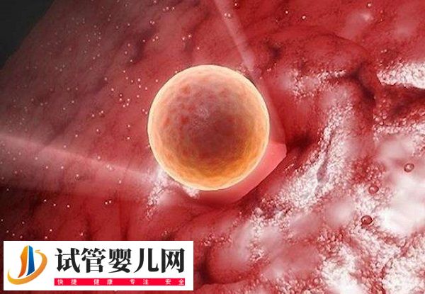 移植放2个胚胎的成活率(图2)