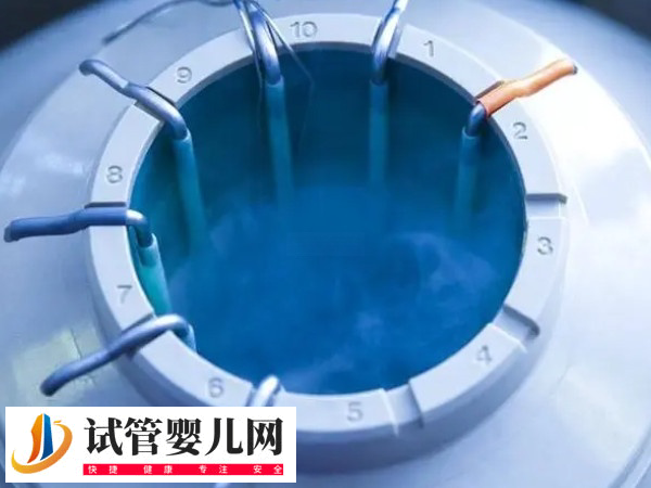 做试管医院会不会放错胚胎