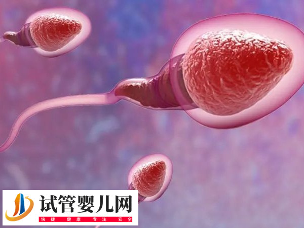 前往江门市中心医院做试管的技术如何