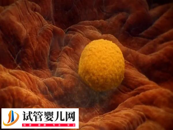 前往俄罗斯做试管移植技术好不好