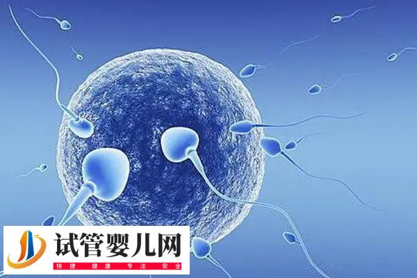 前往徐州四院做试管的费用多少(图2)