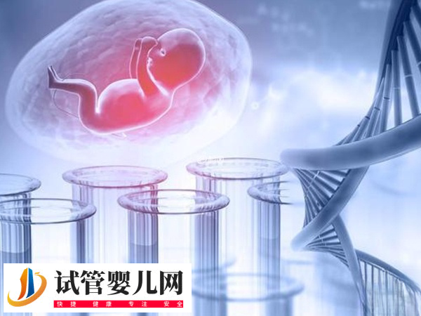 香港试管婴儿技术如何