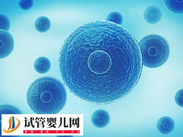 江苏宿迁能不能做试管婴儿