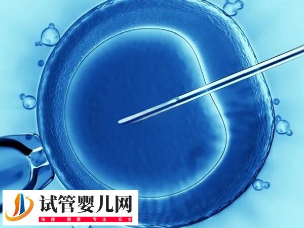新鲜胚胎移植1-14天的症状有哪些