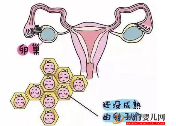 爱乐维与玛特纳区别分享，孕期选谁好看这3点 (图2)
