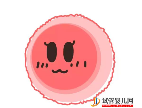 上海新生儿医保办理时间、方法整理，想领浦东区实体卡看这(图1)
