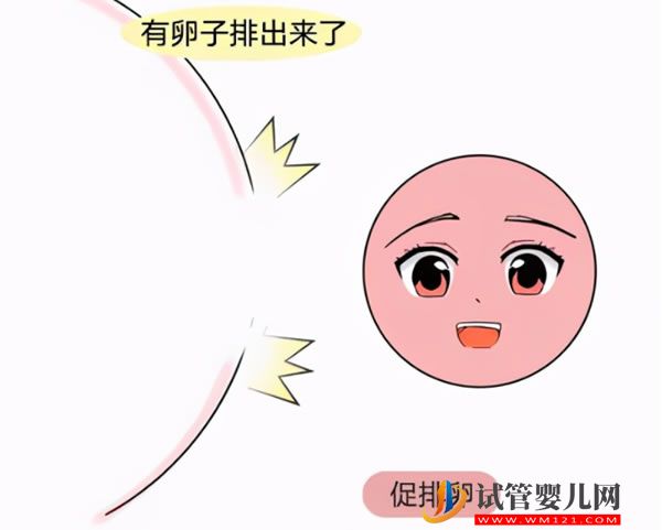 人工受孕要花多少钱(图2)