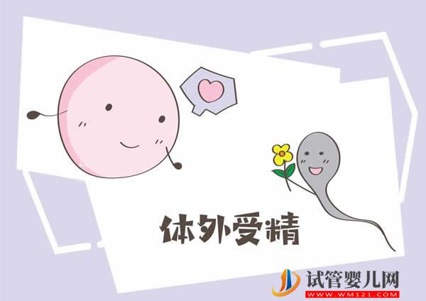 试管婴儿患者常见问题集锦(图1)