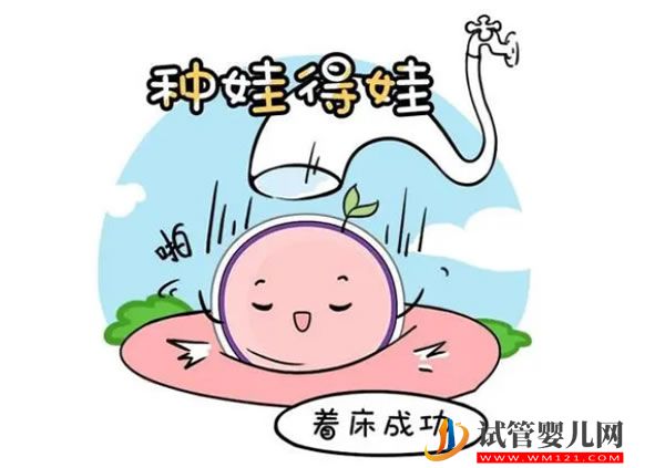 俄罗斯试管机构怎么样？