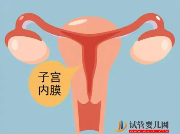 俄罗斯试管婴儿费用高吗？多少钱？