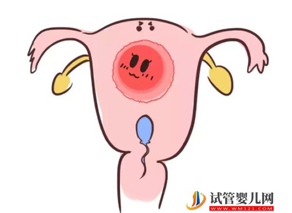 促排卵针怎么打(图1)